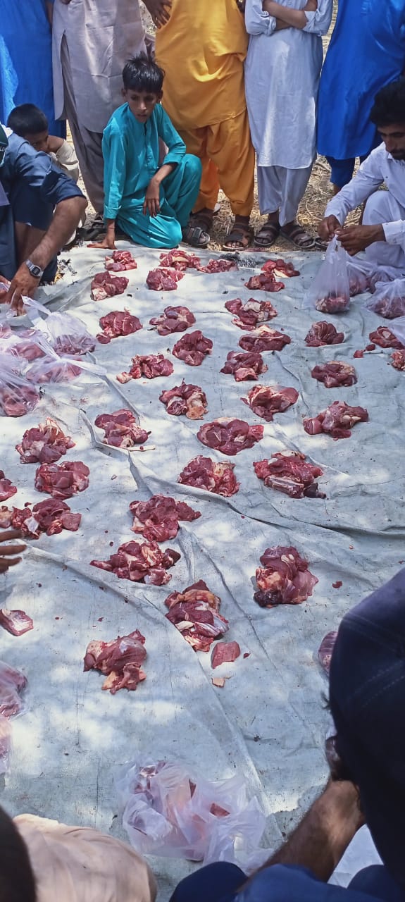 Impact Photo other-28